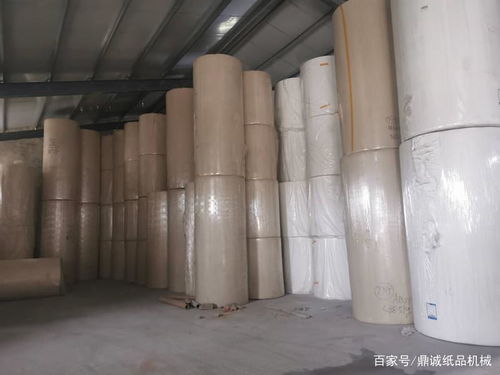 家庭衛(wèi)生紙加工項(xiàng)目投資與利潤(rùn)分析